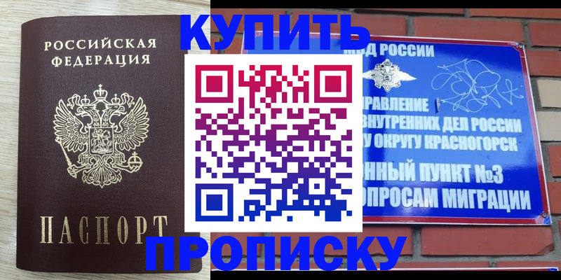 прописка гарантия в Обнинске